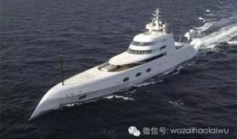 武汉轮船爆料事件真相视频,揭秘真相背后的真相